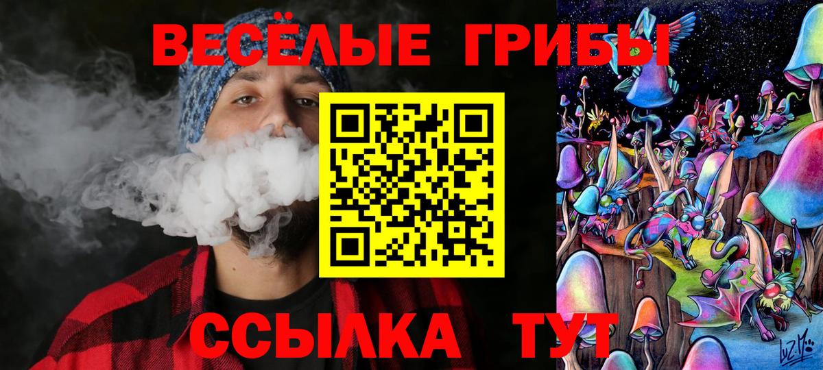 Галлюциногенные грибы ЛСД  Галлюциногенные грибы GOLDEN TEACHER  Вход с VPN  где купить   Сосновый Бор 