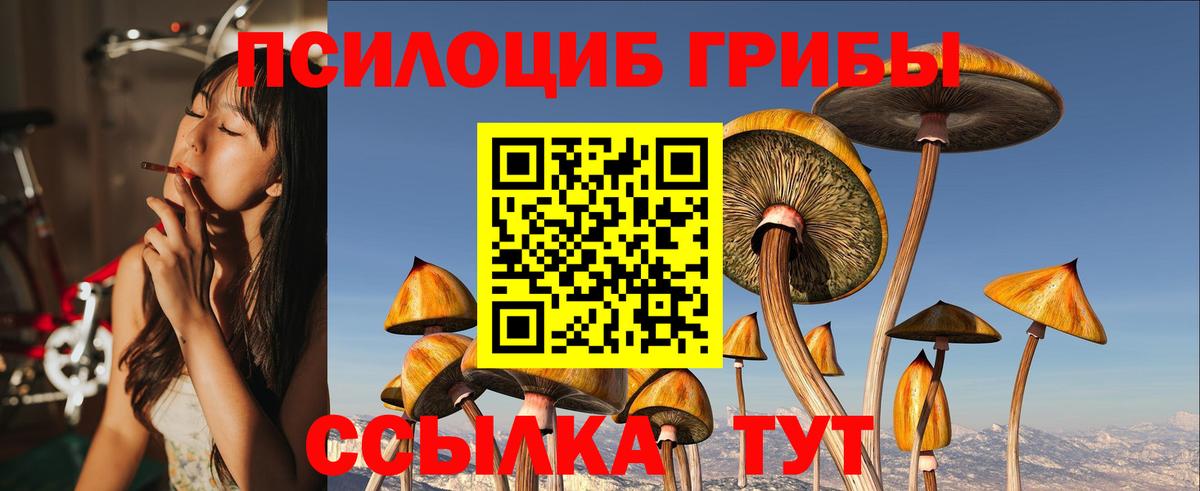 Галлюциногенные грибы Magic Shrooms Сосновый Бор