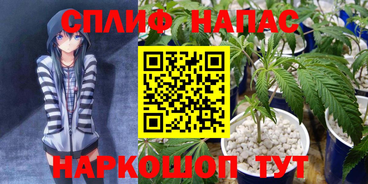 Шишки марихуана конопля Сосновый Бор